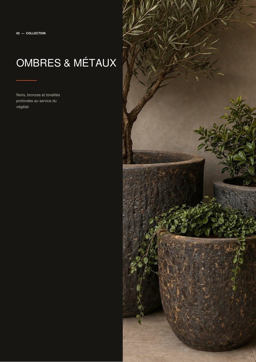 Ombres et Métaux